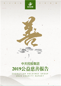 东升国际集团<br>2019公益慈善报告